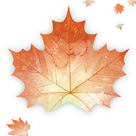 Wholesale Paper Simulation Leaf Convenience Stickers